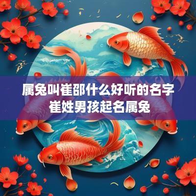 属兔叫崔邵什么好听的名字 崔姓男孩起名属兔