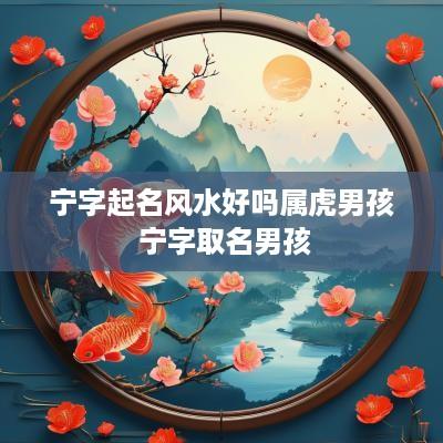 宁字起名风水好吗属虎男孩 宁字取名男孩