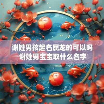 谢姓男孩起名属龙的可以吗 谢姓男宝宝取什么名字