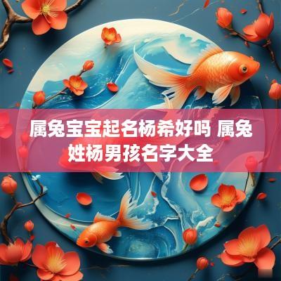 属兔宝宝起名杨希好吗 属兔姓杨男孩名字大全