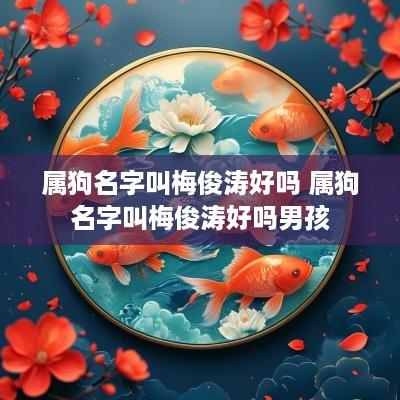 属狗名字叫梅俊涛好吗 属狗名字叫梅俊涛好吗男孩