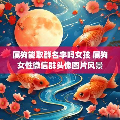 属狗能取群名字吗女孩 属狗女性微信群头像图片风景