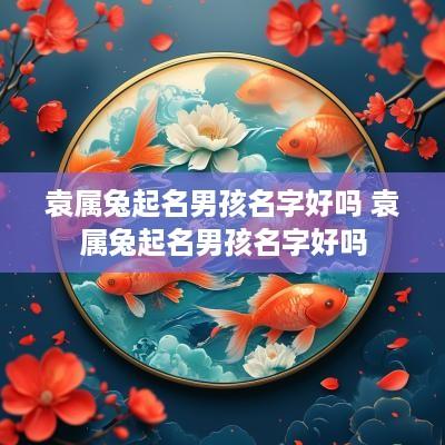 袁属兔起名男孩名字好吗 袁属兔起名男孩名字好吗