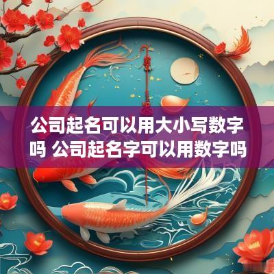公司起名可以用大小写数字吗 公司起名字可以用数字吗