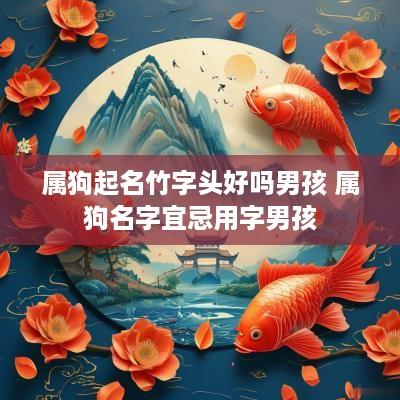 属狗起名竹字头好吗男孩 属狗名字宜忌用字男孩
