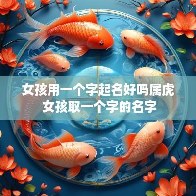 女孩用一个字起名好吗属虎 女孩取一个字的名字