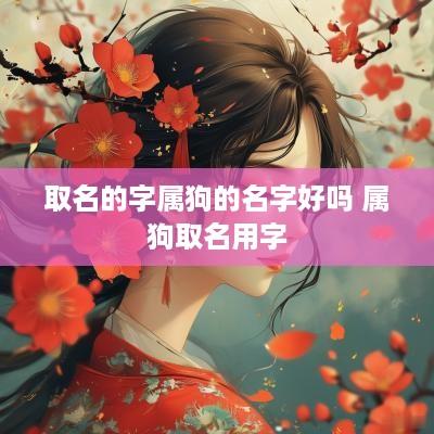 取名的字属狗的名字好吗 属狗取名用字