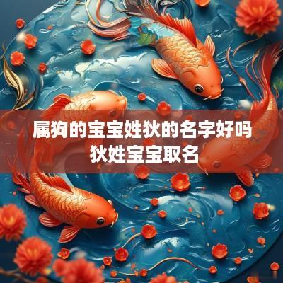 属狗的宝宝姓狄的名字好吗 狄姓宝宝取名