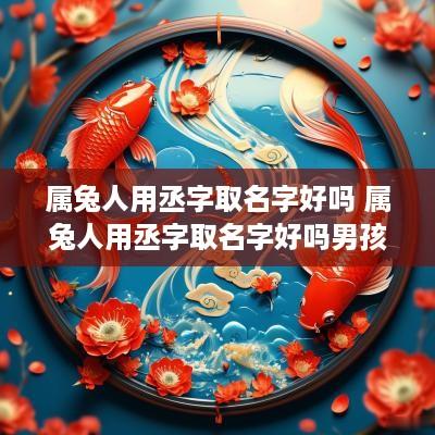属兔人用丞字取名字好吗 属兔人用丞字取名字好吗男孩