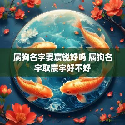 属狗名字娶宸锐好吗 属狗名字取宸字好不好