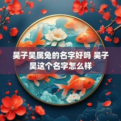 吴子昊属兔的名字好吗 吴子昊这个名字怎么样