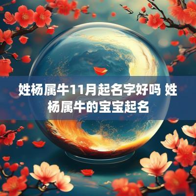 姓杨属牛11月起名字好吗 姓杨属牛的宝宝起名