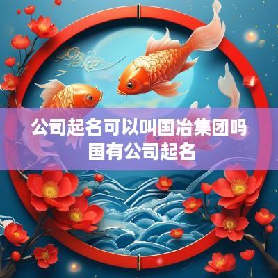 公司起名可以叫国冶集团吗 国有公司起名