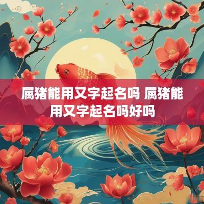 属猪能用又字起名吗 属猪能用又字起名吗好吗