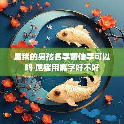 属猪的男孩名字带佳字可以吗 属猪用嘉字好不好