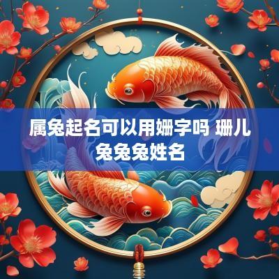 属兔起名可以用姗字吗 珊儿兔兔兔姓名