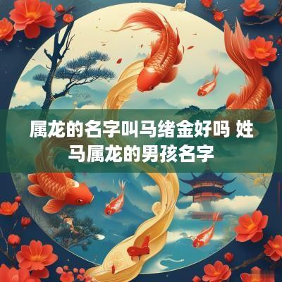 属龙的名字叫马绪金好吗 姓马属龙的男孩名字