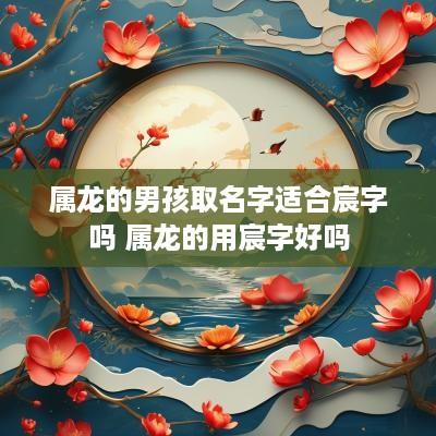 属龙的男孩取名字适合宸字吗 属龙的用宸字好吗