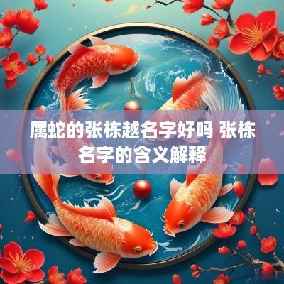 属蛇的张栋越名字好吗 张栋名字的含义解释