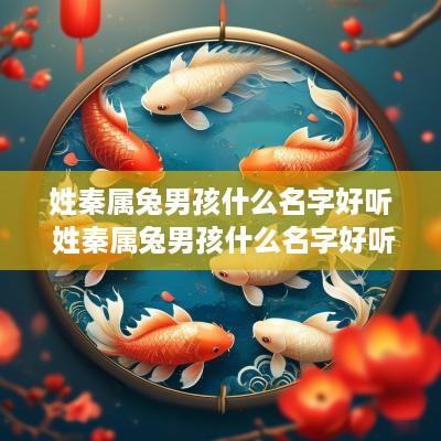 姓秦属兔男孩什么名字好听 姓秦属兔男孩什么名字好听点