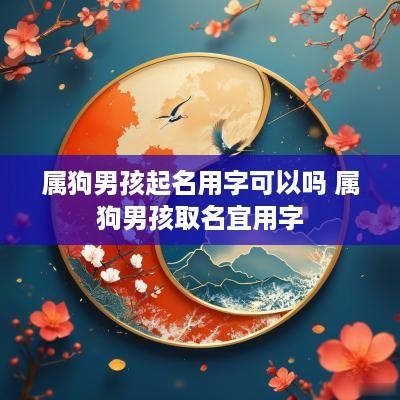 属狗男孩起名用字可以吗 属狗男孩取名宜用字