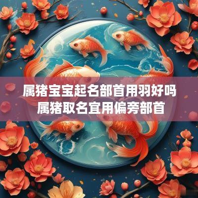 属猪宝宝起名部首用羽好吗 属猪取名宜用偏旁部首