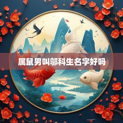 属鼠男叫邬科生名字好吗