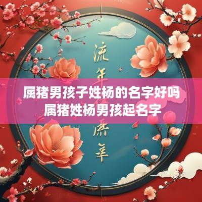 属猪男孩子姓杨的名字好吗 属猪姓杨男孩起名字