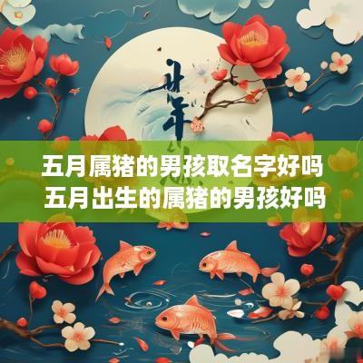 五月属猪的男孩取名字好吗 五月出生的属猪的男孩好吗