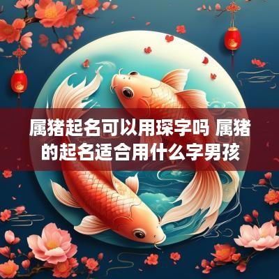 属猪起名可以用琛字吗 属猪的起名适合用什么字男孩