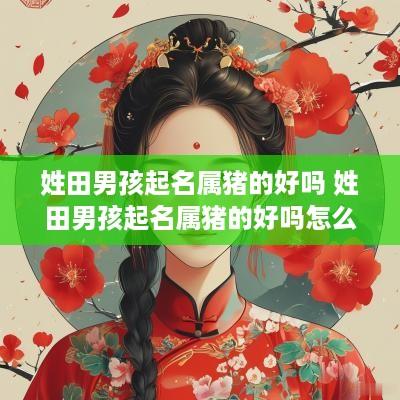 姓田男孩起名属猪的好吗 姓田男孩起名属猪的好吗怎么取