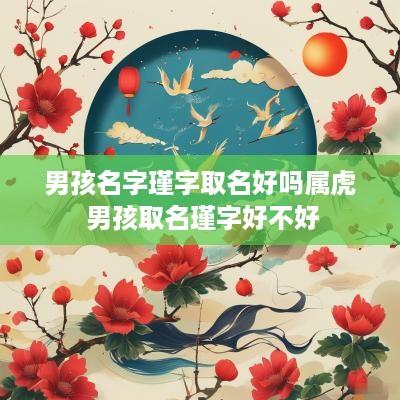 男孩名字瑾字取名好吗属虎 男孩取名瑾字好不好