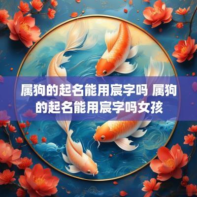 属狗的起名能用宸字吗 属狗的起名能用宸字吗女孩