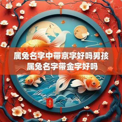 属兔名字中带京字好吗男孩 属兔名字带金字好吗