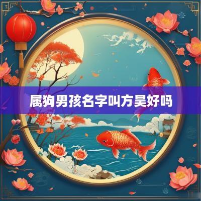 属狗男孩名字叫方昊好吗