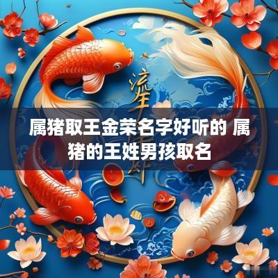 属猪取王金荣名字好听的 属猪的王姓男孩取名