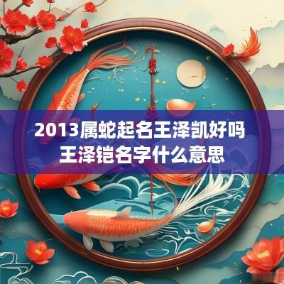 2013属蛇起名王泽凯好吗 王泽铠名字什么意思