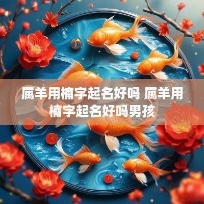 属羊用楠字起名好吗 属羊用楠字起名好吗男孩