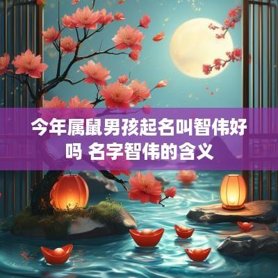 今年属鼠男孩起名叫智伟好吗 名字智伟的含义