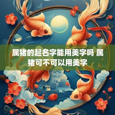 属猪的起名字能用美字吗 属猪可不可以用美字
