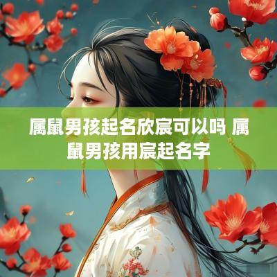 属鼠男孩起名欣宸可以吗 属鼠男孩用宸起名字