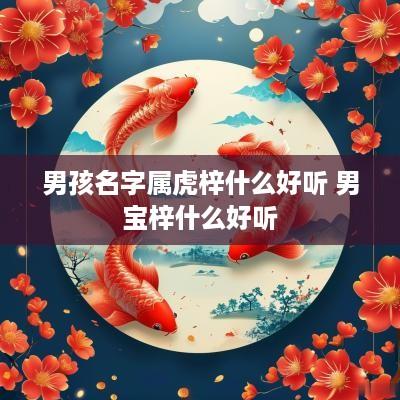 男孩名字属虎梓什么好听 男宝梓什么好听