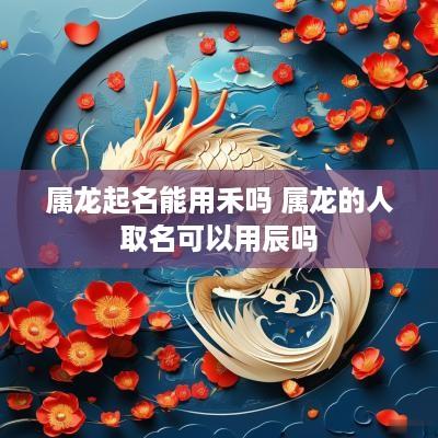 属龙起名能用禾吗 属龙的人取名可以用辰吗