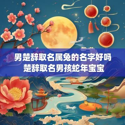 男楚辞取名属兔的名字好吗 楚辞取名男孩蛇年宝宝