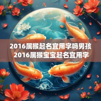 2016属猴起名宜用字吗男孩 2016属猴宝宝起名宜用字