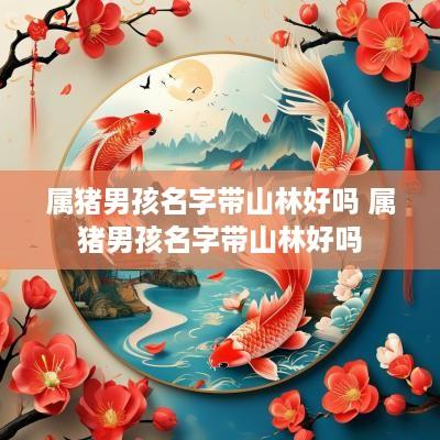 属猪男孩名字带山林好吗 属猪男孩名字带山林好吗