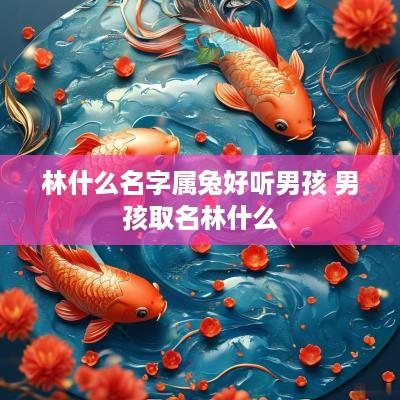林什么名字属兔好听男孩 男孩取名林什么