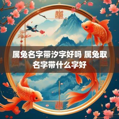 属兔名字带汐字好吗 属兔取名字带什么字好