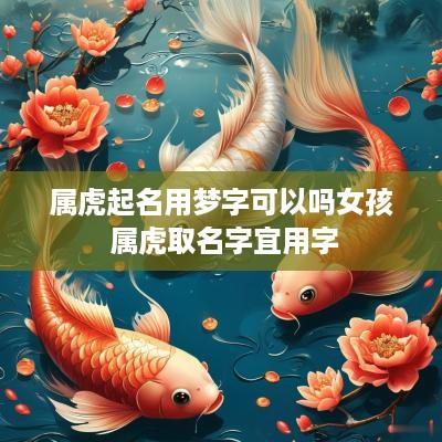 属虎起名用梦字可以吗女孩 属虎取名字宜用字