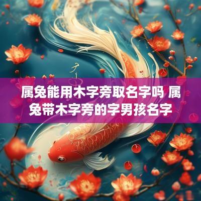 属兔能用木字旁取名字吗 属兔带木字旁的字男孩名字